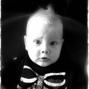 Meet your Posher, Susan